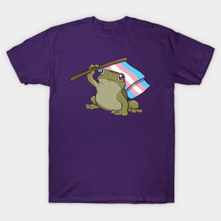 Transgender Pride Flag-Holding Frog T-Shirt